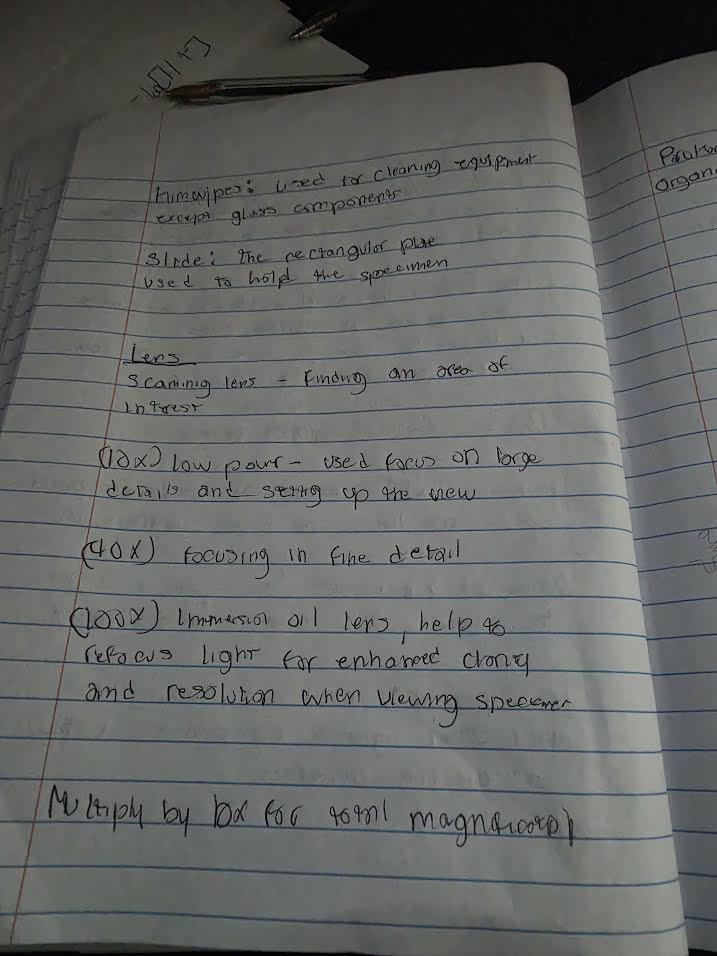 Handwritten notes on microscope components and lenses