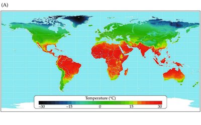 Global temperature distribution