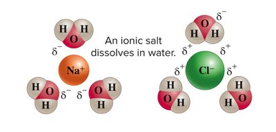 Comparison of salt and sugar dissolving in water