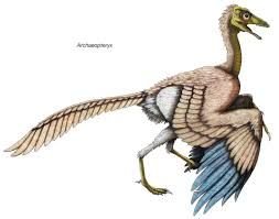 Archaeopteryx, an early bird showing reptilian and avian features