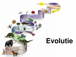 Spiraalvormige tijdlijn van evolutie met verschillende levensvormen