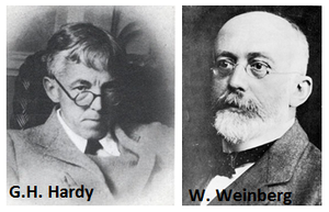 Portretten van G.H. Hardy en W. Weinberg