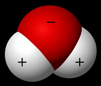 Water molecule showing polarity