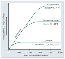 Graph showing the effect of light intensity, CO2, and temperature on photosynthesis rate