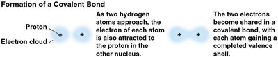 Formation of a covalent bond