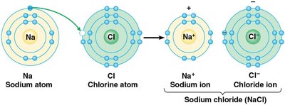 Formation of sodium chloride ions