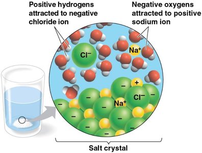 Water dissolving salt crystal
