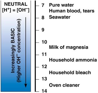 Basic solutions on pH scale