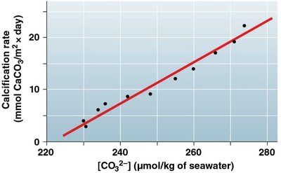 Calcification rate vs. carbonate ion concentration
