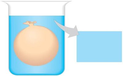 Cell in solution with different glucose concentrations
