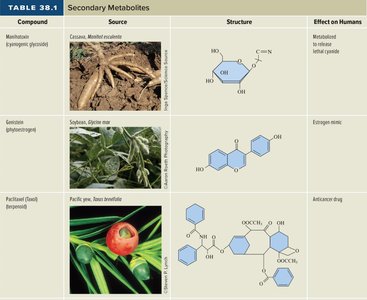 Table of secondary metabolites: structure, source, and effect on humans