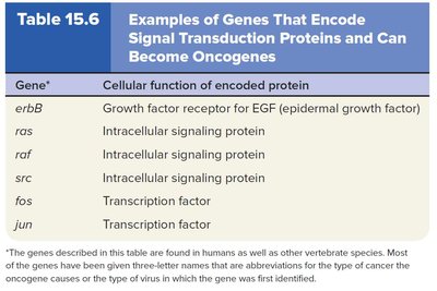 Examples of Genes That Encode Signal Transduction Proteins and Can Become Oncogenes