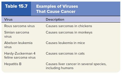 Examples of viruses that cause cancer