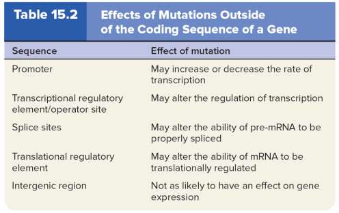 Effects of Mutations Outside of the Coding Sequence of a Gene