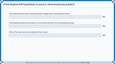 Research results on copulation duration and offspring