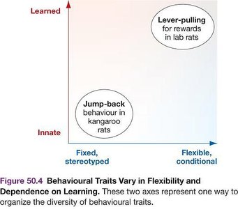 Graph of behavioural flexibility and learning