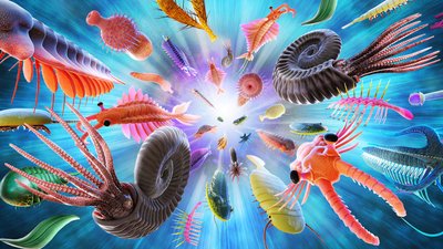 Artistic depiction of Cambrian Explosion animal diversity