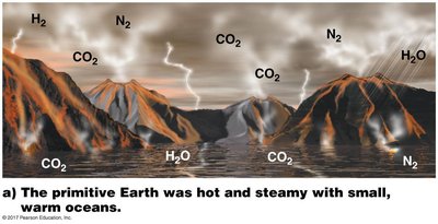 Simple organic molecules formed from atmospheric gases and dissolved in the oceans