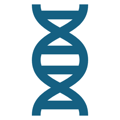 Telomere structure and function