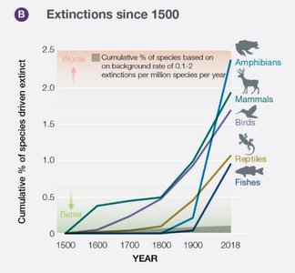 Graph showing extinctions since 1500 by taxonomic group
