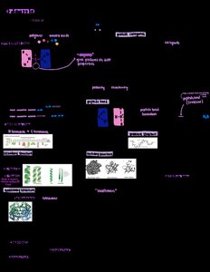 Protein structure diagrams including alpha helix, beta sheet, and tertiary/quaternary structure