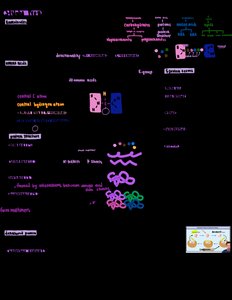 Enzyme catalysis and protein function diagram