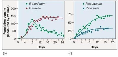 Population density graphs showing competitive exclusion and coexistence