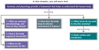 Chapter learning objectives flowchart