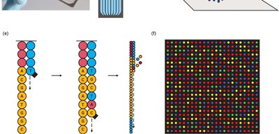 Illumina sequencing bead array