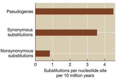 Lysozyme sequence comparison table