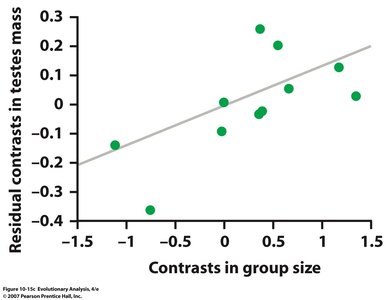 Graph showing correlation between group size and testes mass