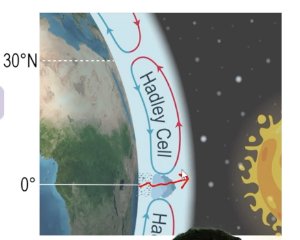 Hadley cell air circulation near the equator