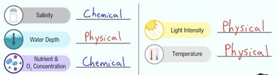 Examples of abiotic factors: salinity, water depth, nutrient & O2 concentration, light intensity, temperature