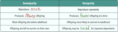 Comparison of semelparity and iteroparity