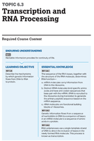 Diagram of DNA structure with labeled parts