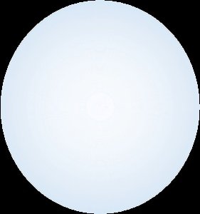 Contractile ring in cytokinesis (animal cell)