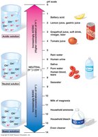pH scale diagram