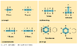 Carbon backbones: chains, branching, rings