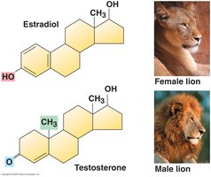 Functional groups in organic molecules