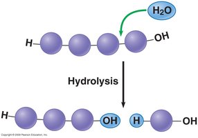Hydrolysis breaking polymers