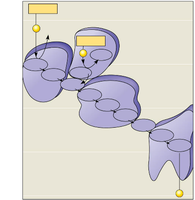Photosystem electron transport chain