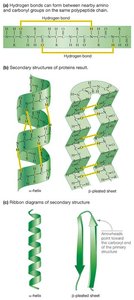 Types of tertiary structure interactions
