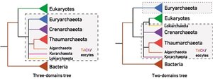 Comparison of three-domain and two-domain trees of life