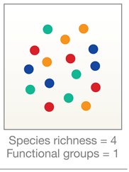 Functional diversity with one group