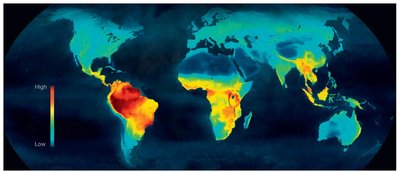 Global map of species richness