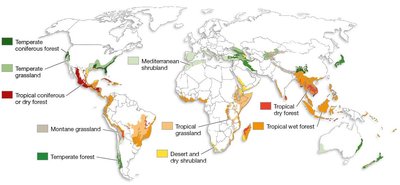 Map of biodiversity hotspots