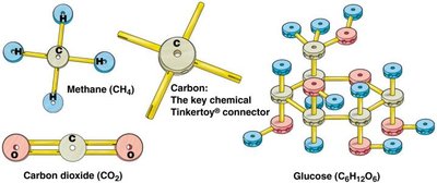 Diagram of carbon-based molecules: methane, carbon dioxide, glucose