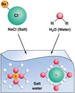 Diagram showing salt dissolving in water