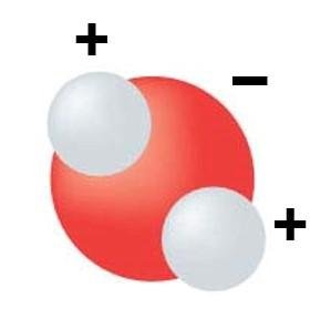 Water molecule with charge distribution