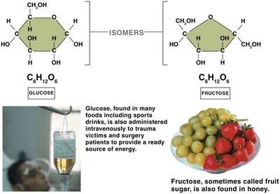Glucose and fructose molecular structures and examples